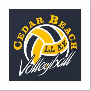 CB Volleyball Pocket Posters and Art